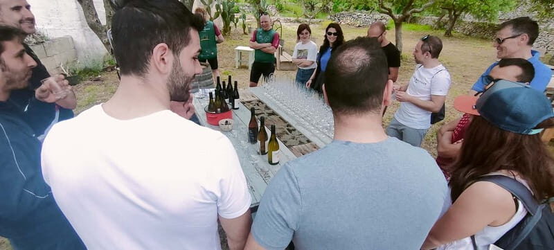 Gioia del Colle: Primitivo Wine Tasting in Local Winery - Why This Tour Stands Out