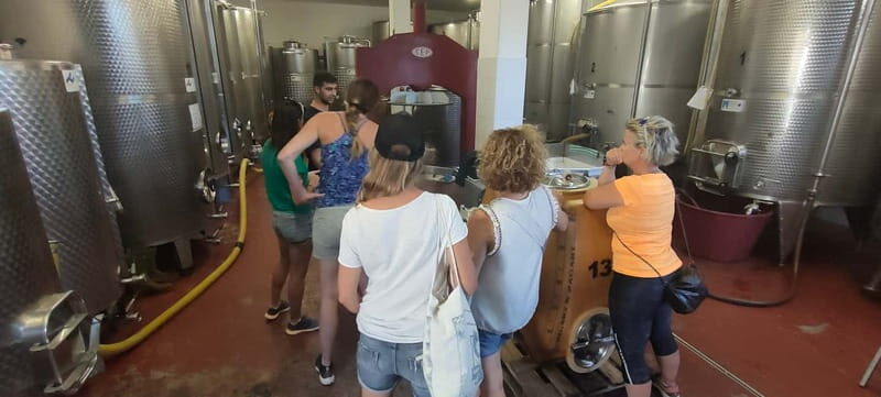 Gioia del Colle: Primitivo Wine Tasting in Local Winery - More Similar Experiences