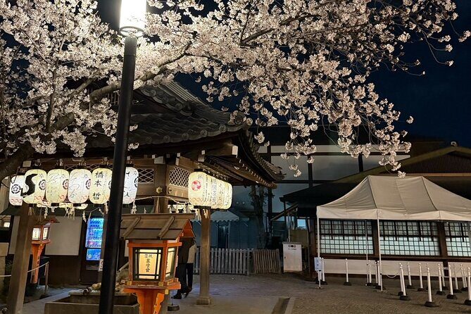 Gion Area Night Walking Private Tour ~Custom-made Tour~ - An In-Depth Look at the Gion Night Tour