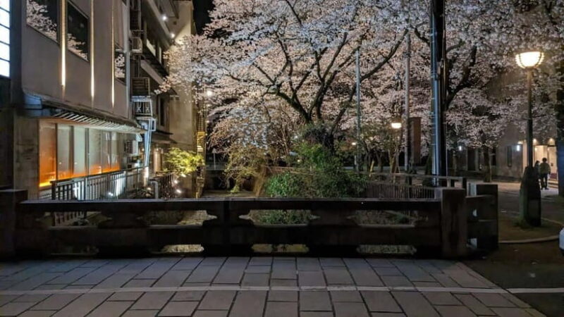 Gion Night Walk:Discover Geisha Culture in Kyoto - The Sum Up