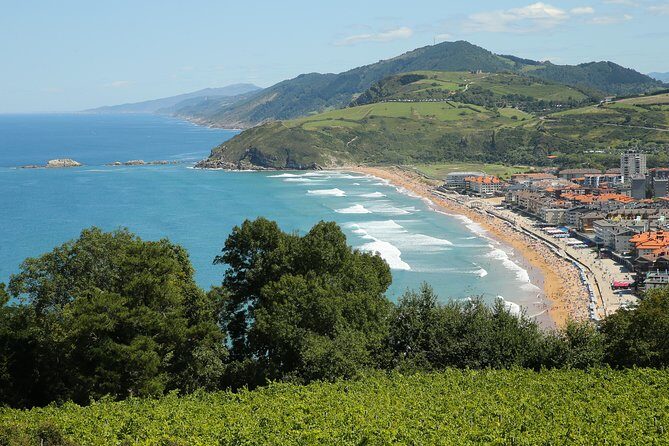 Gipuzkoa Coast Tour with lunch - Who Will Love This Tour?