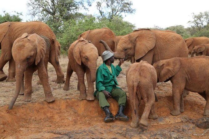Giraffe Center, Elephant Orphanage, Beads Center & Bomas of Kenya Tour Nairobi - Who Will Love This Tour?