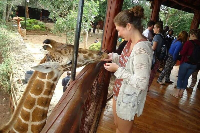 Giraffe Center, Elephant Orphanage, & Kazuri Beads Tour - Additional Details That Matter
