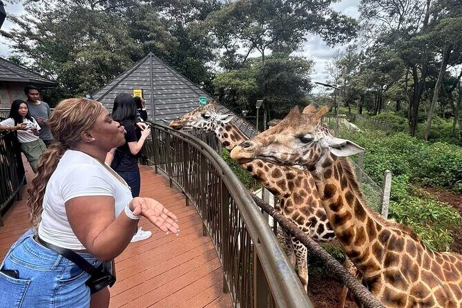 Giraffe Centre and Bomas of Kenya from Nairobi - What Travelers Say About This Tour