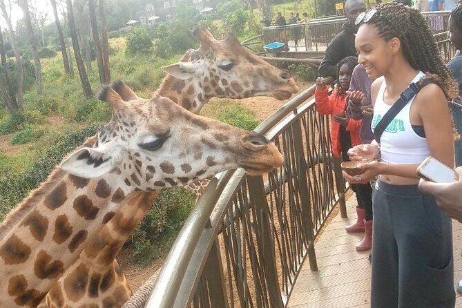 Giraffe Centre and Bomas of Kenya from Nairobi - A Closer Look at the Experience: What’s Worth Noting