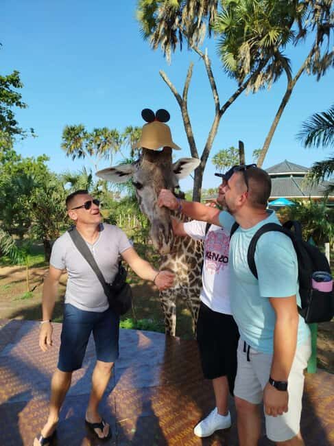 giraffe feeding - Discovering the Giraffe Feeding Tour in Kenya  