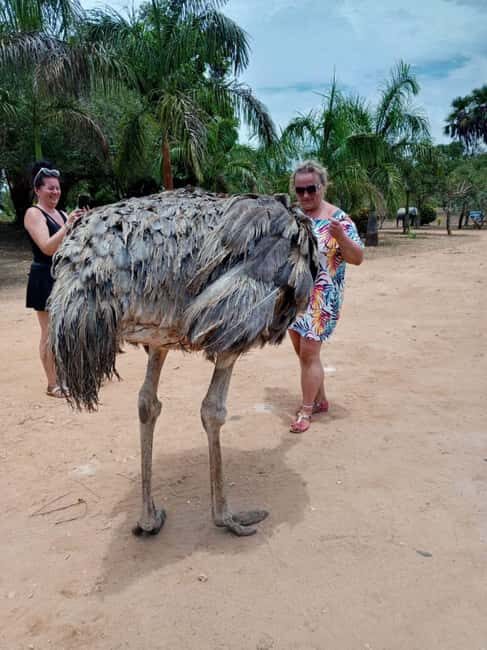 giraffe feeding - Why This Tour Might Suit You  