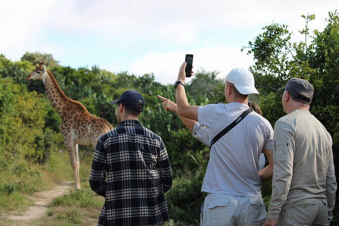 Giraffe Tracking 4x4 Safaris - A Review of the Giraffe Tracking 4x4 Safaris in Port Elizabeth