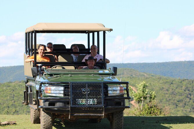 Giraffe Tracking 4x4 Safaris - What Is the Giraffe Tracking Safari?