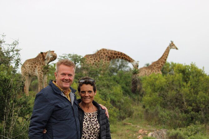 Giraffe Tracking 4x4 Safaris - What Reviewers Say
