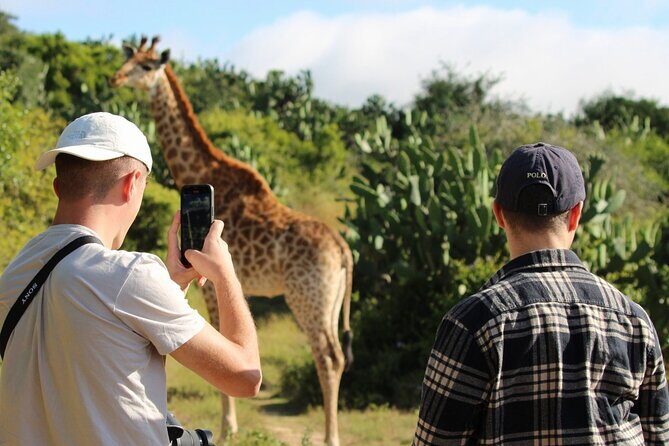 Giraffe Tracking 4x4 Safaris - Who Is This Tour Best Suited For?