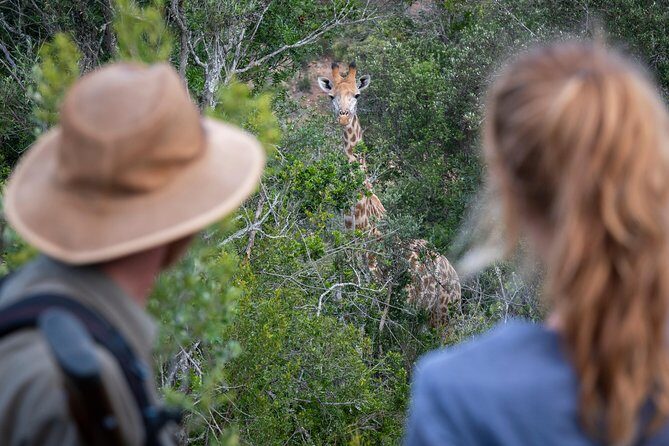 Giraffe Tracking 4x4 Safaris - Practical Details