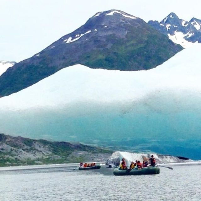 girdwood-bears-trains-icebergs-tour