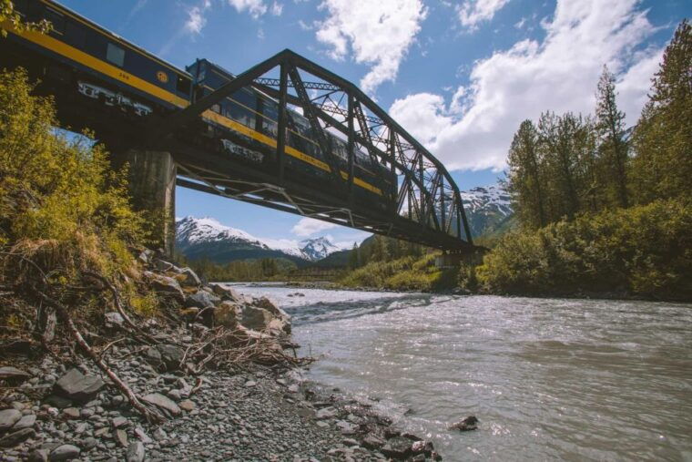 girdwood-bears-trains-icebergs-tour