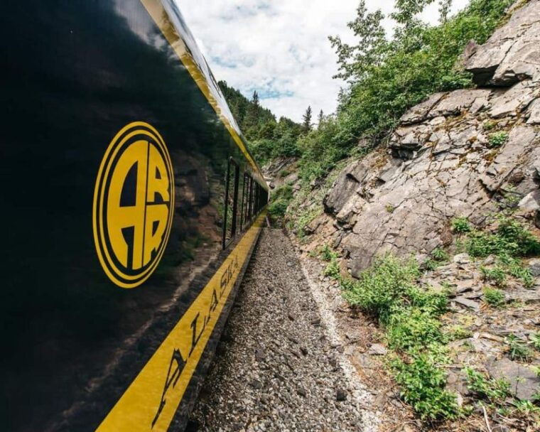 girdwood-bears-trains-icebergs-tour