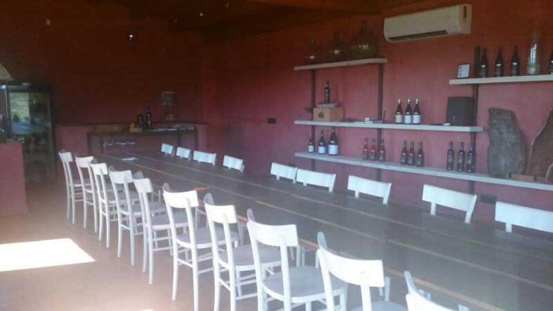 girona-local-wineries-tour-with-breakfast-and-wine-tasting