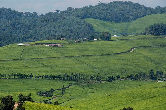 Gisenyi city tour - Discovering Local Culture and Traditions