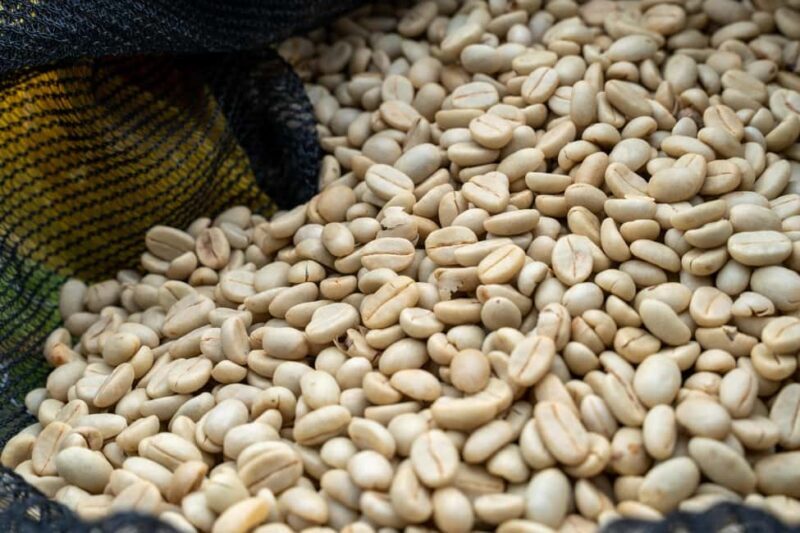 Gisenyi: Lake Kivu Half-Day Boat & Crop-to-Cup Coffee Tour - An Overview of the Experience