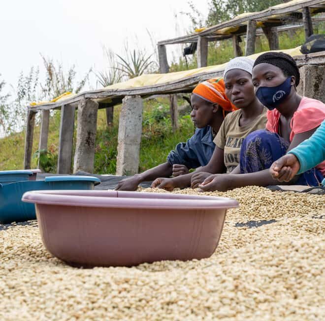 Gisenyi: Lake Kivu Half-Day Boat & Crop-to-Cup Coffee Tour - Practical Details and Considerations