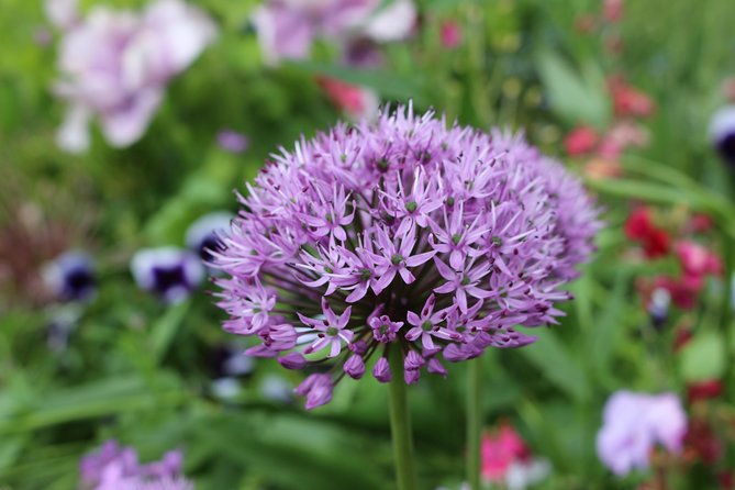 giverny-and-monets-house-guided-half-day-trip-from-paris