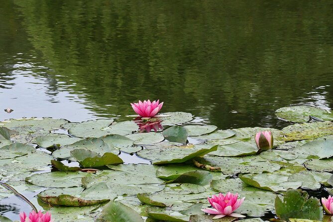 giverny-half-day-small-group-max-7-people-trip-from-paris