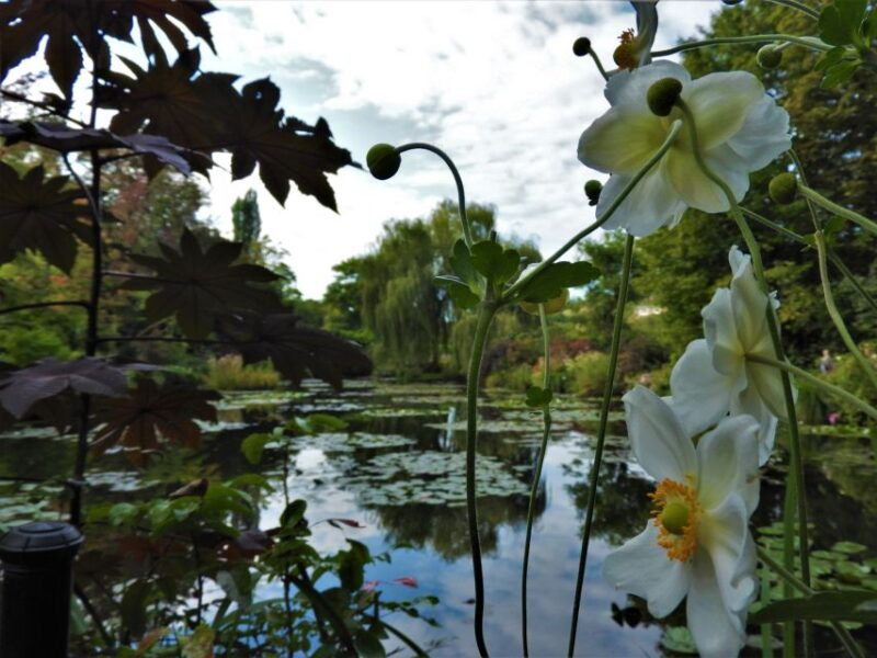 giverny-monets-house-and-gardens-skip-the-line-tour