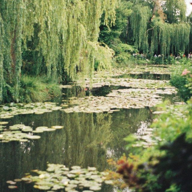 giverny-monets-house-gardens-private-tour-from-paris