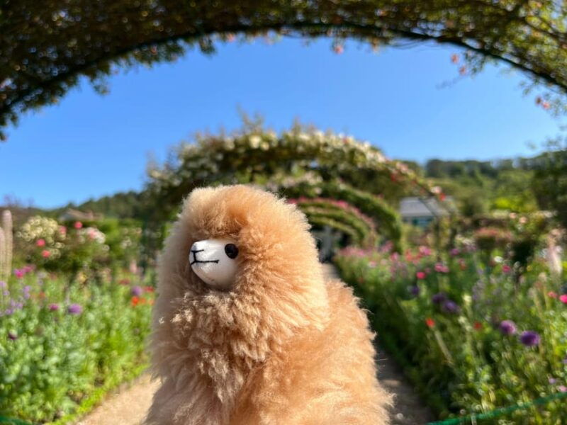 giverny-versailles-full-day-tour-by-comfort-car