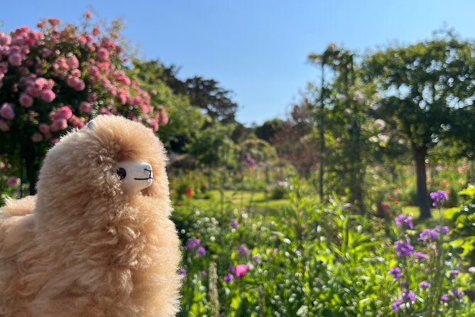 giverny-versailles-private-guided-tour-with-ticket-entry