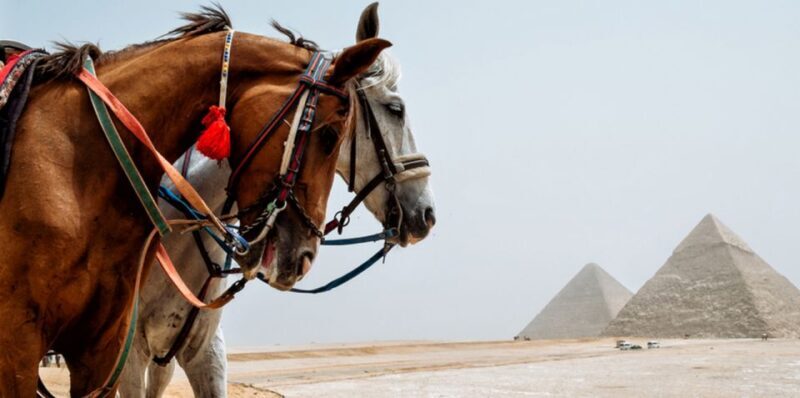 Giza: Arabian Horse Tour Around the Giza Pyramids - FAQ
