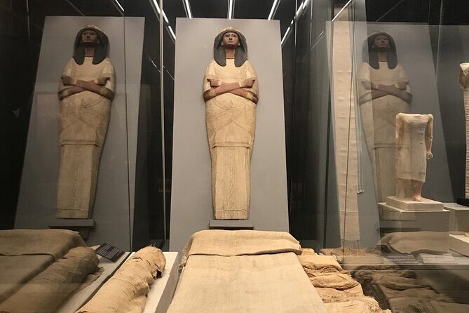 Giza Pyramids &Grand Museum from Alexandria Port &Hotel - Who Will Love This Tour?