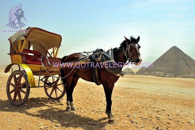 Giza Pyramids, Saqqara, Memphis and Dahshur Private quality trip - Final Thoughts: Who Will Love This Tour?