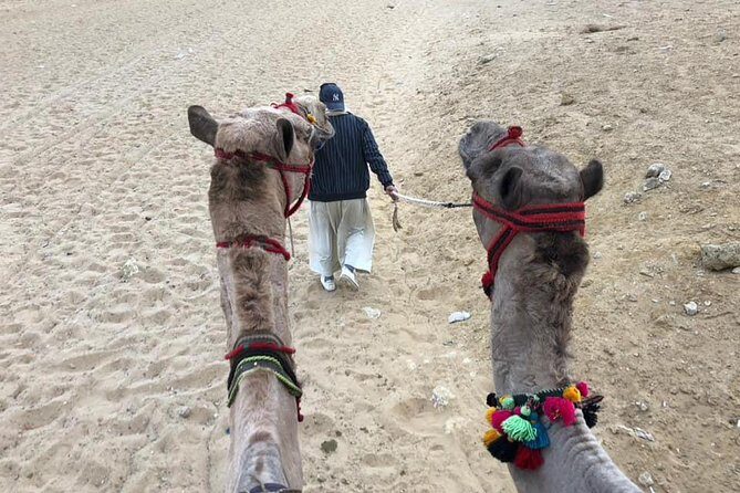 Giza Pyramids Sphinx Camel Ride Lunch with Camera Photographer - Return to Hotel