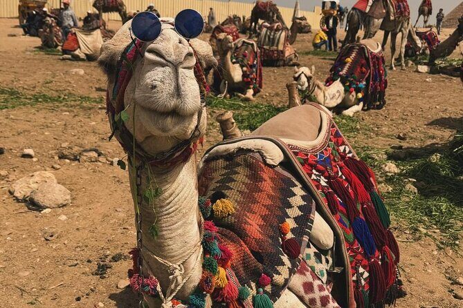 Giza Pyramids & Sphinx with Wi Fi & special Gift - Exploring the Giza Pyramids & Sphinx: What to Expect