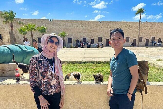 Giza Pyramids+Salahuddin castle,10%to stray dogs & cats of egypt - What You Can Expect from This Tour