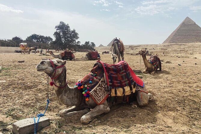 Giza Pyramids,Sphinx,Camel Ride,ATV Bike,Shopping, Dinner cruiseI - FAQ