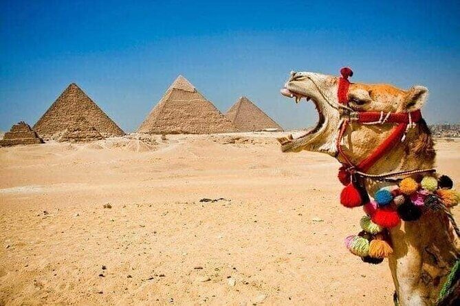 Giza pyramids+Sphinx+The Egyptian Museum - Exploring the Giza Pyramids and Sphinx