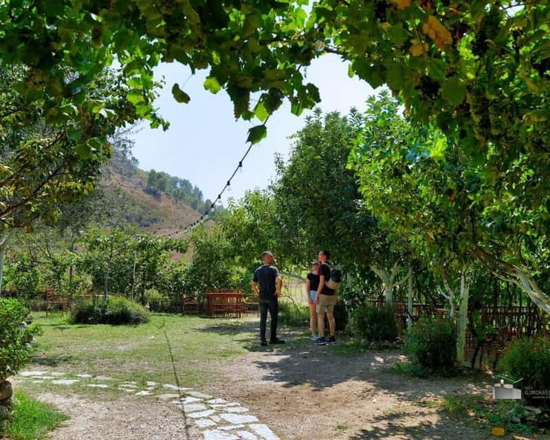 Gjirokaster: Vineyard, Wine Tasting & Farm-to-Table Dining - Farm-to-Table Dining: Fresh Flavors in a Scenic Setting