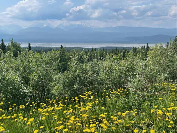 Glacial Lake, Waterfall and rainforest. Beauty of Turnagain! - What You Can Expect from the Tour