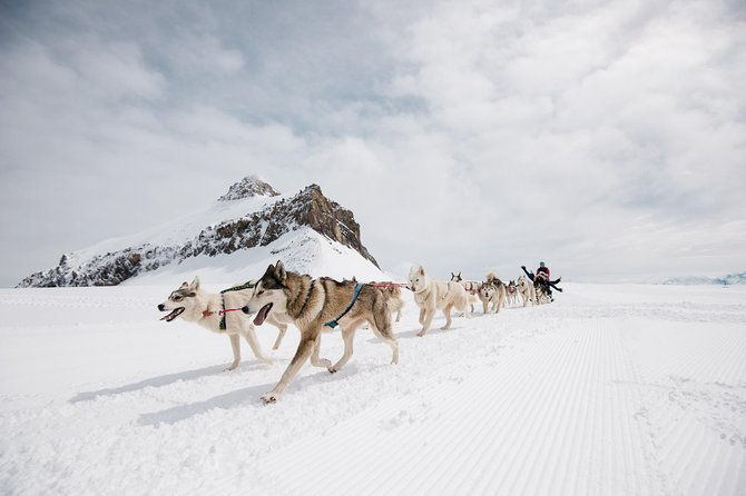 glacier-3000-ticket-including-cable-car-and-peak-walk-by-tissot