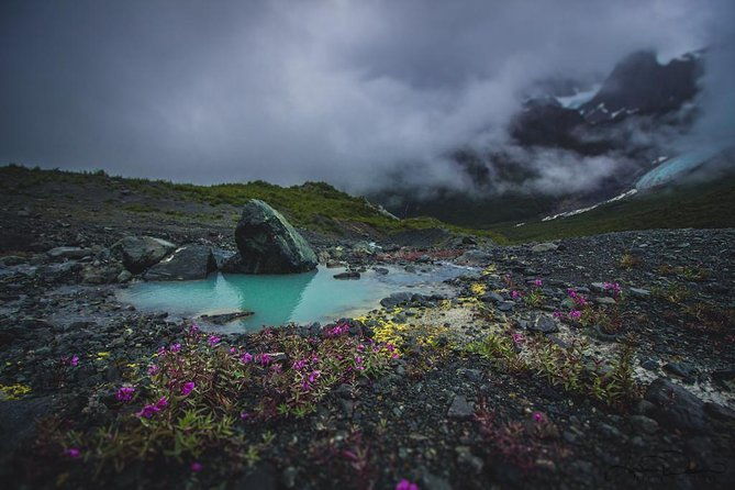 glacier-and-mountain-viewing-tour-2