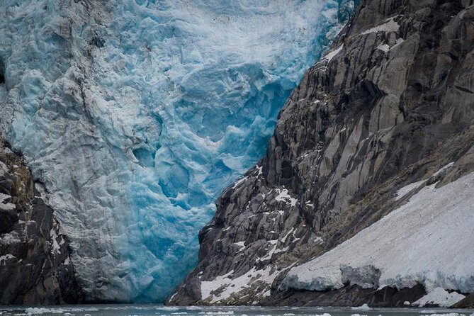 Glacier & Wildlife Discovery Tour - Who Will Love This Tour?  