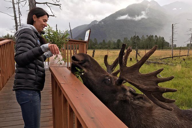 Glaciers and Wildlife: Super Scenic Day Tour from Anchorage - Who Would Enjoy This Tour?