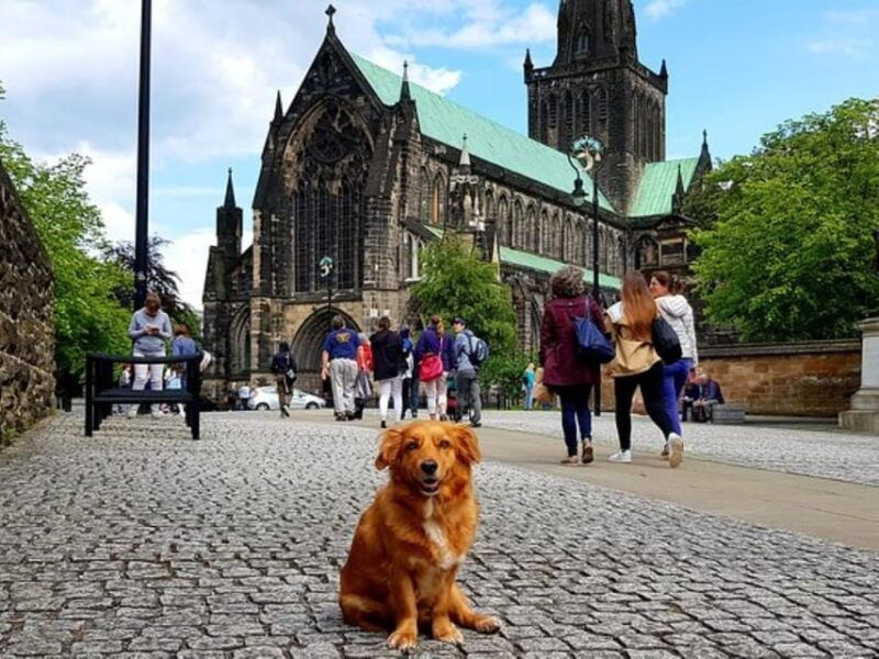 glasgow-gander-walking-tour