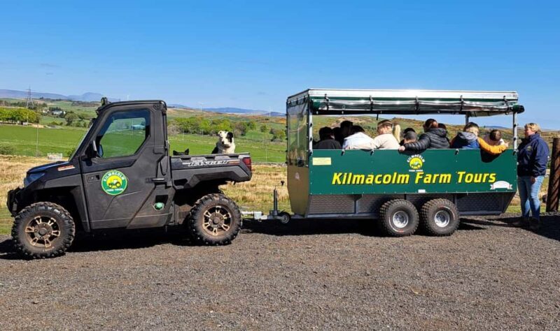 Glasgow: Highland Cow Trailer Tour with home baking - Who Will Love This Tour?