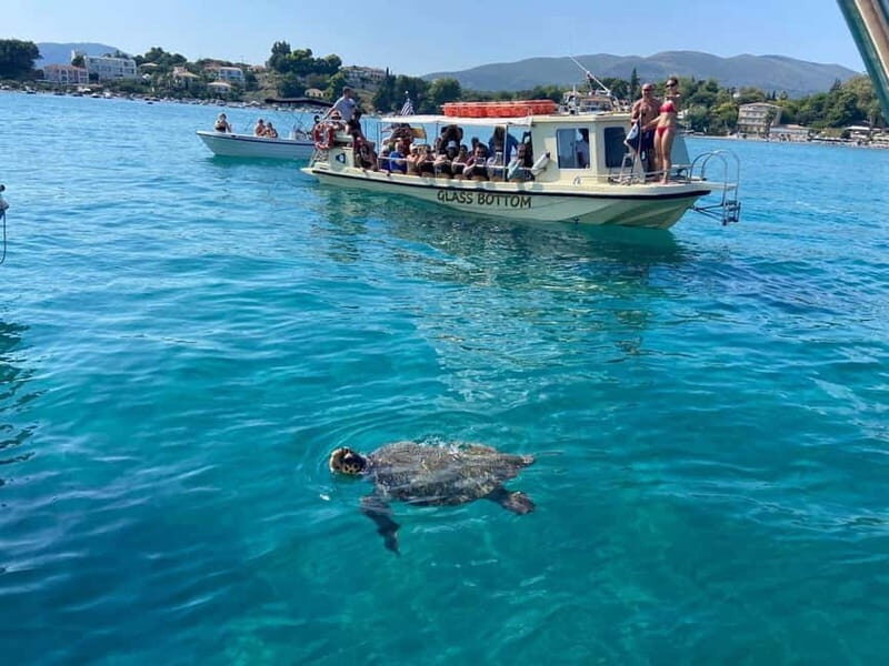 Glass boat cruises to spot turtles - Key Points