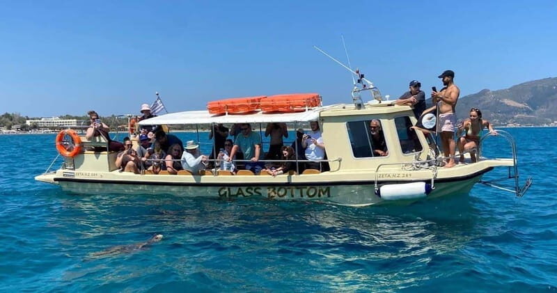 Glass boat cruises to spot turtles - Exploring the Experience: A Detailed Breakdown