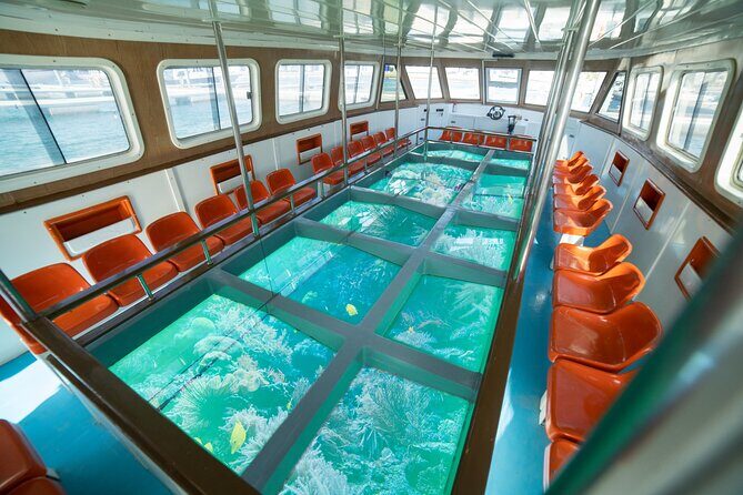 Glass-Bottom Boat 2-hours Tour and Coral-Reef Viewing from Aqaba - How the Experience Feels in Practice