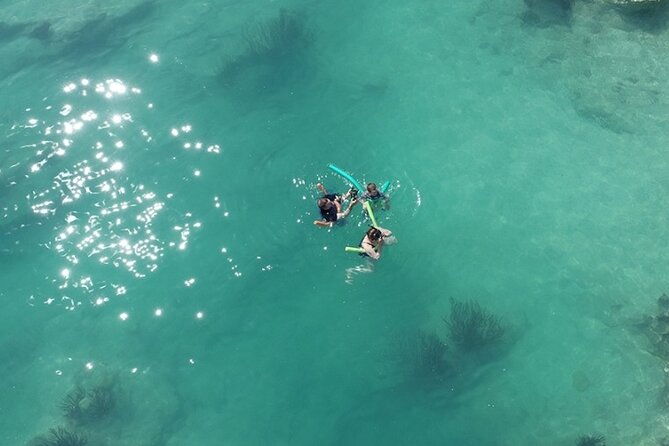 glass-bottom-boat-and-snorkeling-combo-in-bermuda
