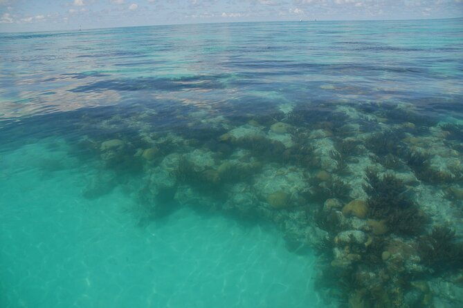 glass-bottom-boat-and-snorkeling-combo-in-bermuda